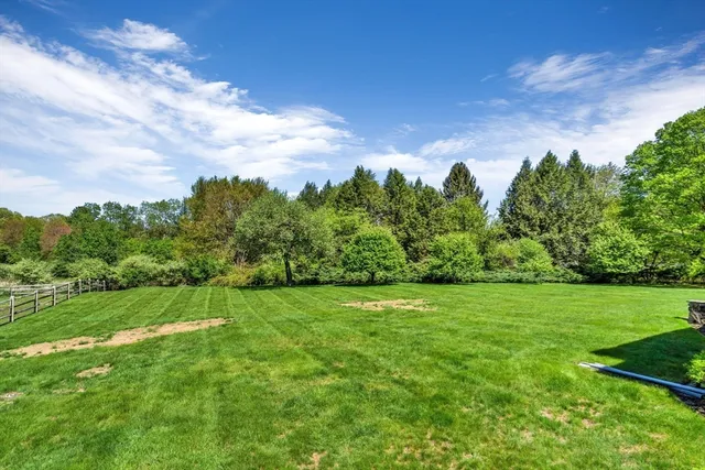 a view of a big yard with a large trees