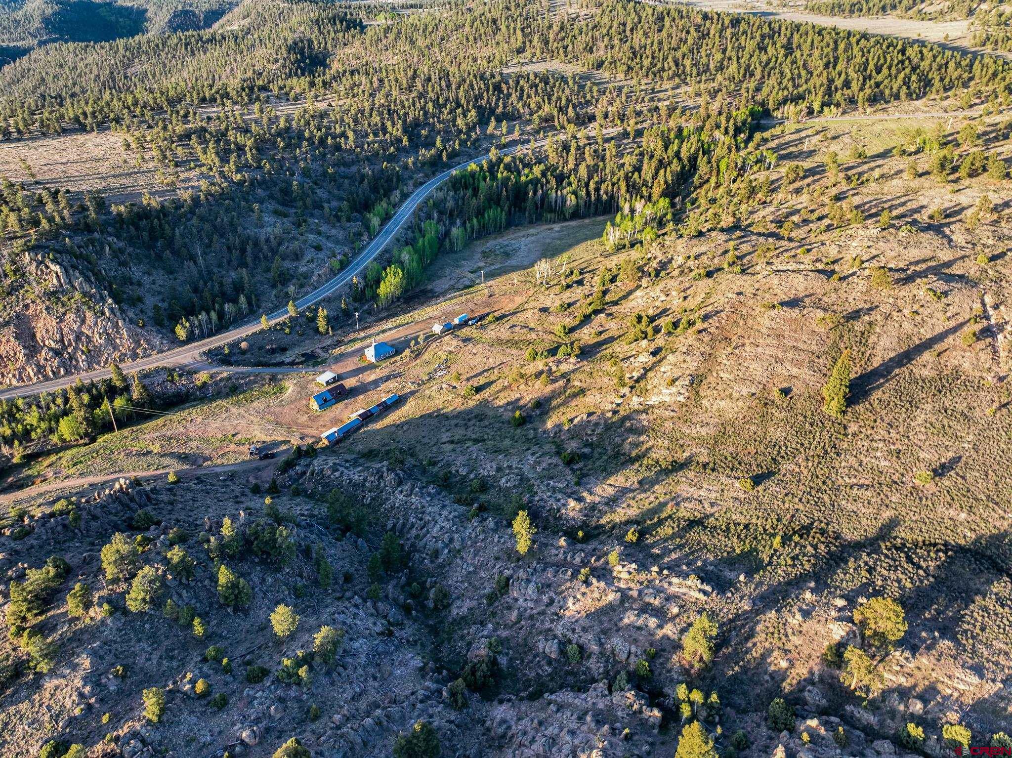 16431 Highway 149 Powderhorn, CO 81243 - Photo 13 of 24 a view of a yard with a tree
