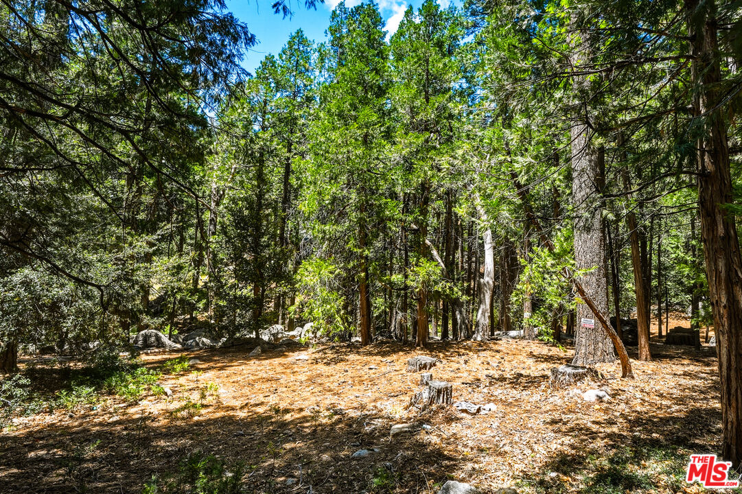 55000 Daryll Road Idyllwild, CA 92549 - Photo 60 of 60