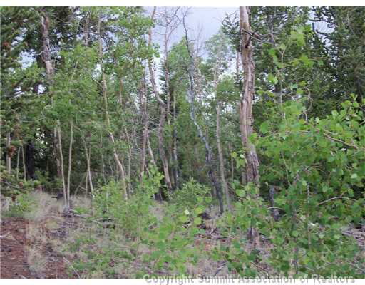 1115 Osprey Road Como, CO 80432 - Photo 10 of 11 Land.
