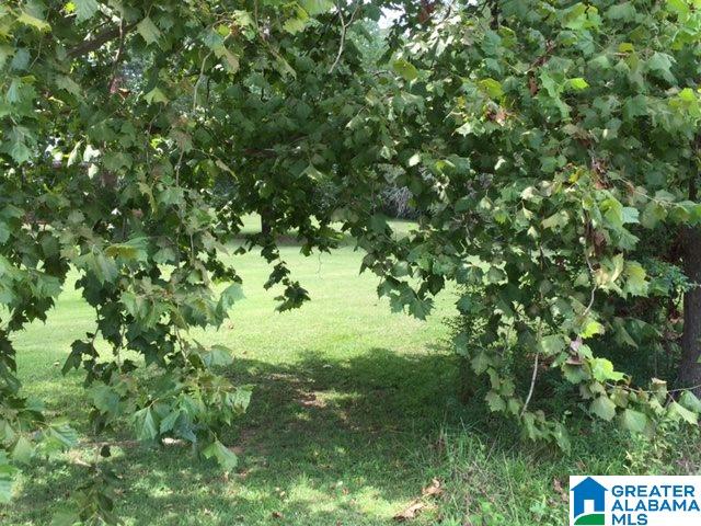 3505 Spring Valley Road Anniston, AL 36207 - Photo 22 of 45