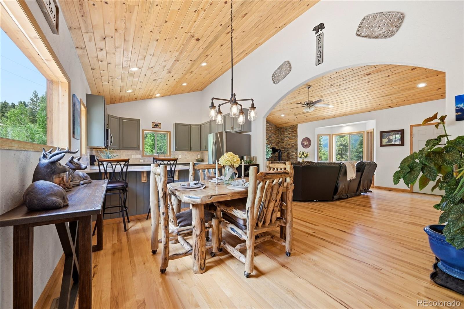 705 Gold Flake Terrace Bailey, CO 80421 - Photo 5 of 48