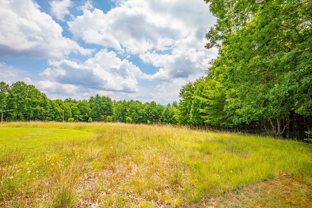 1099 Pine Mountain Road Independence, VA 24348 - Photo 47 of 61 Gallery Image 47