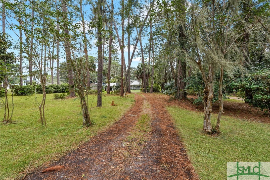 354 Island Road Savannah, GA 31406 - Photo 1 of 47