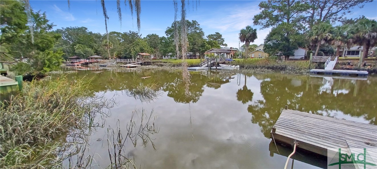 354 Island Road Savannah, GA 31406 - Photo 44 of 47