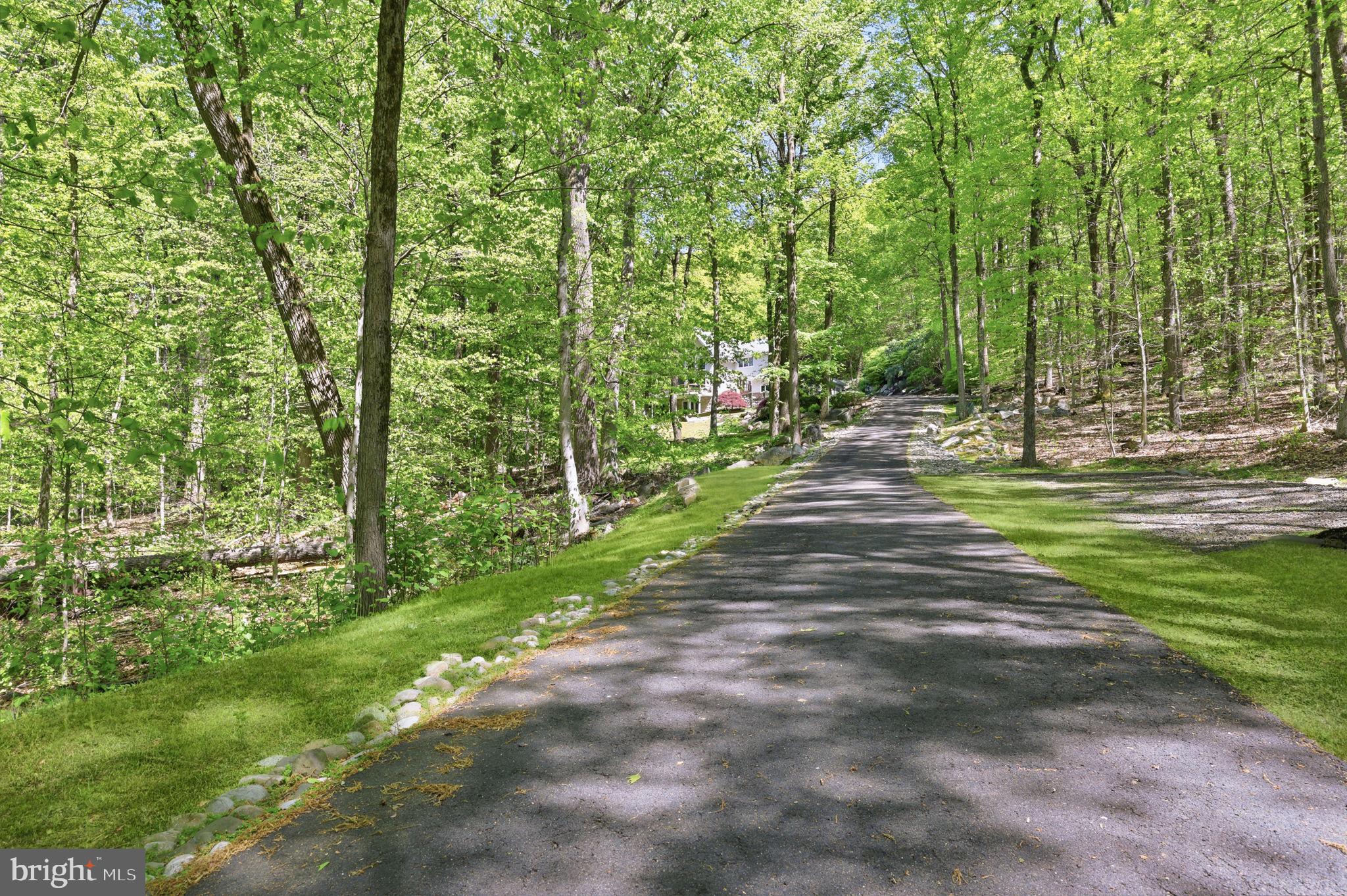4757 Upper Mountain Road New Hope, PA 18938 - Photo 62 of 70 a view of a yard with plants and large trees