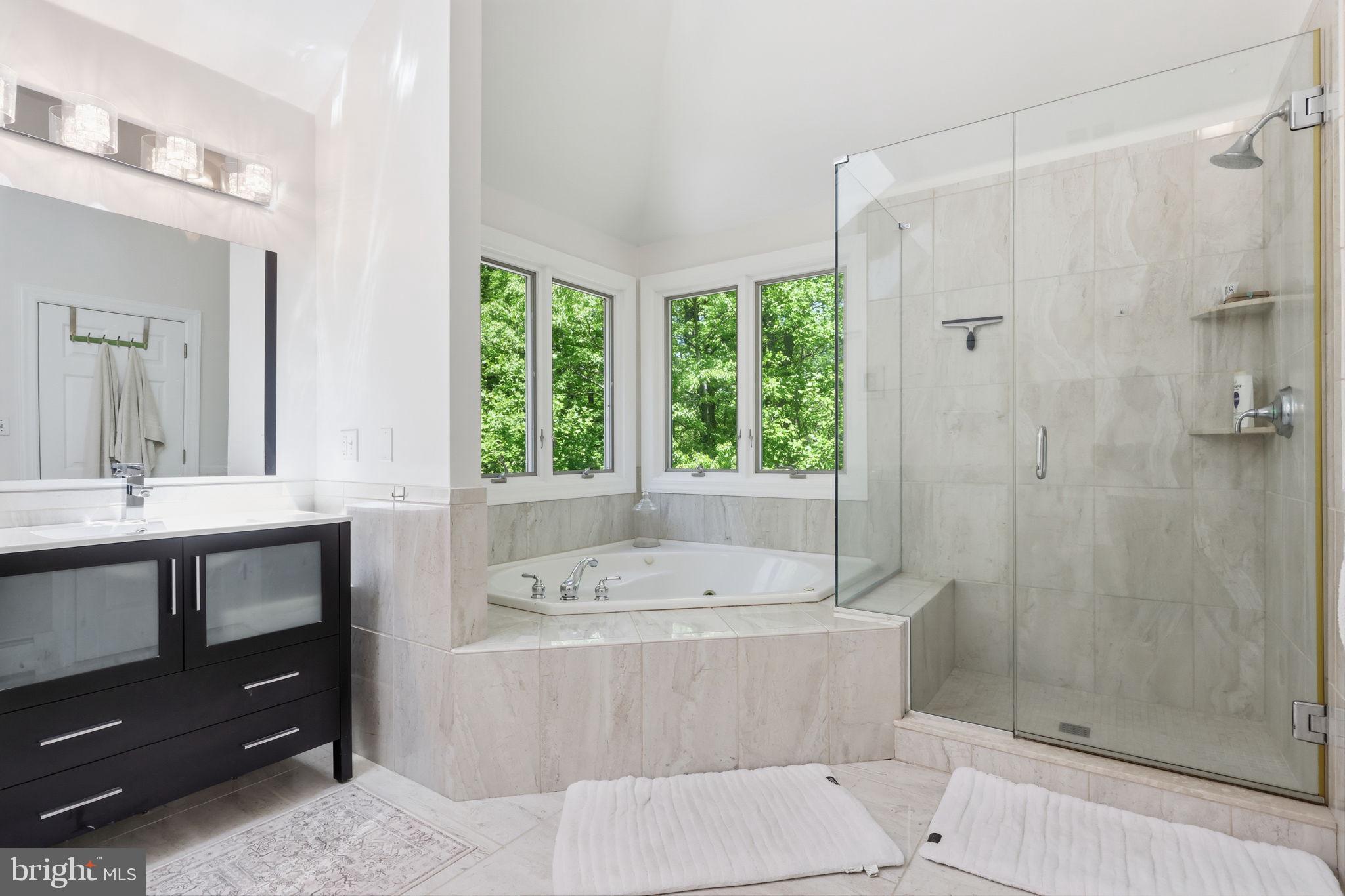 4757 Upper Mountain Road New Hope, PA 18938 - Photo 10 of 70 Primary Bath