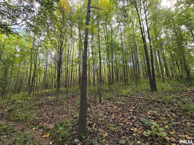 $79,000 | 2174 Highway 1, Elizabethtown, IL 62931