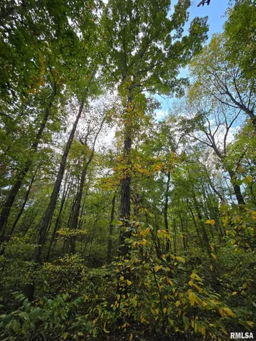 $79,000 | 2174 Highway 1, Elizabethtown, IL 62931