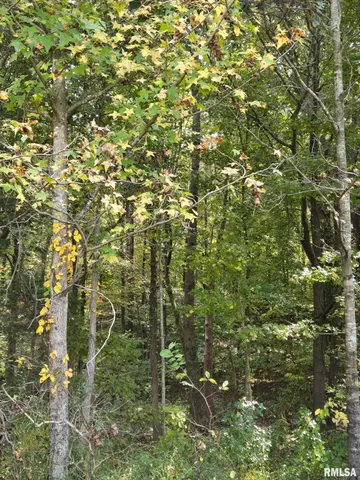 $79,000 | 2174 Highway 1, Elizabethtown, IL 62931