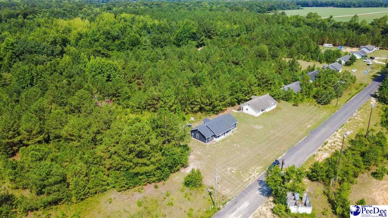 383 Red Road Olanta, SC 29114 - Photo 24 of 28 Gallery Image 24