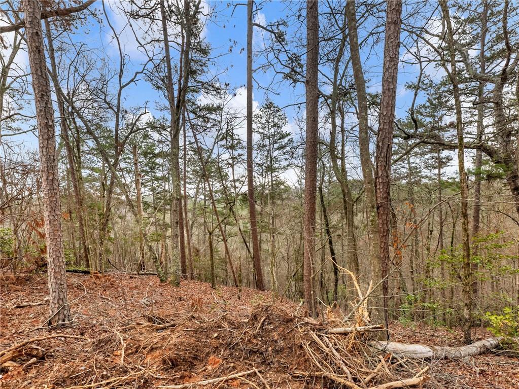 7668 Pea Ridge Road Lula, GA 30554 - Photo 32 of 40