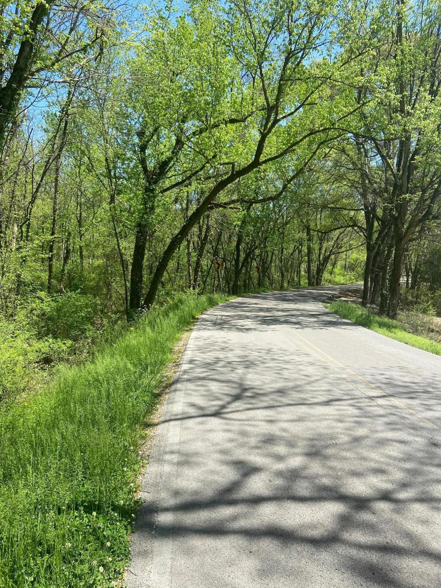 111 East Valley Road Jasper, TN 37347 - Photo 4 of 17 Gallery Image 4