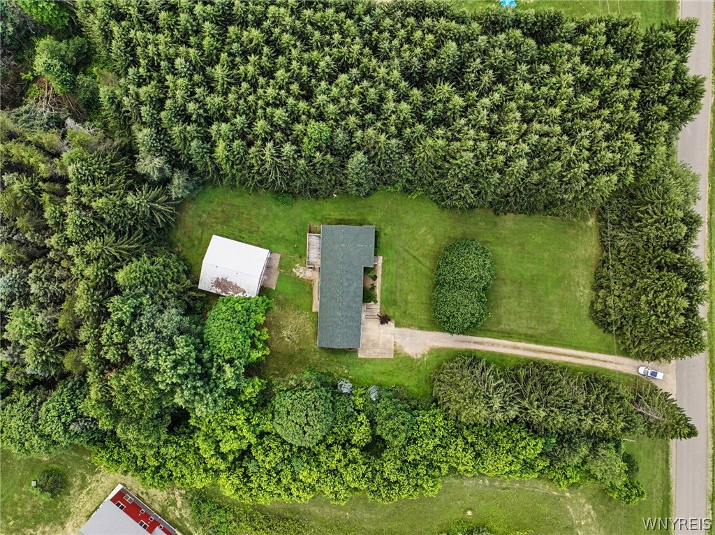9411 Very Road Machias, NY 14101 - Photo 11 of 43