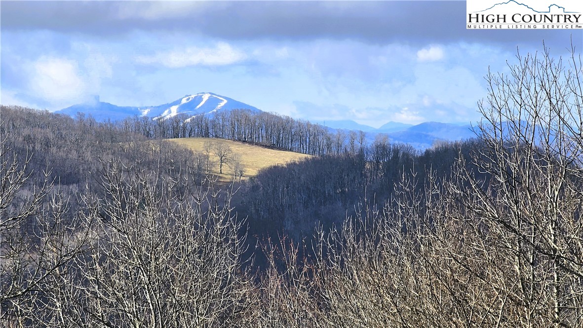 480 Schoolhouse Ridge Boone, NC 28607 - Photo 45 of 48