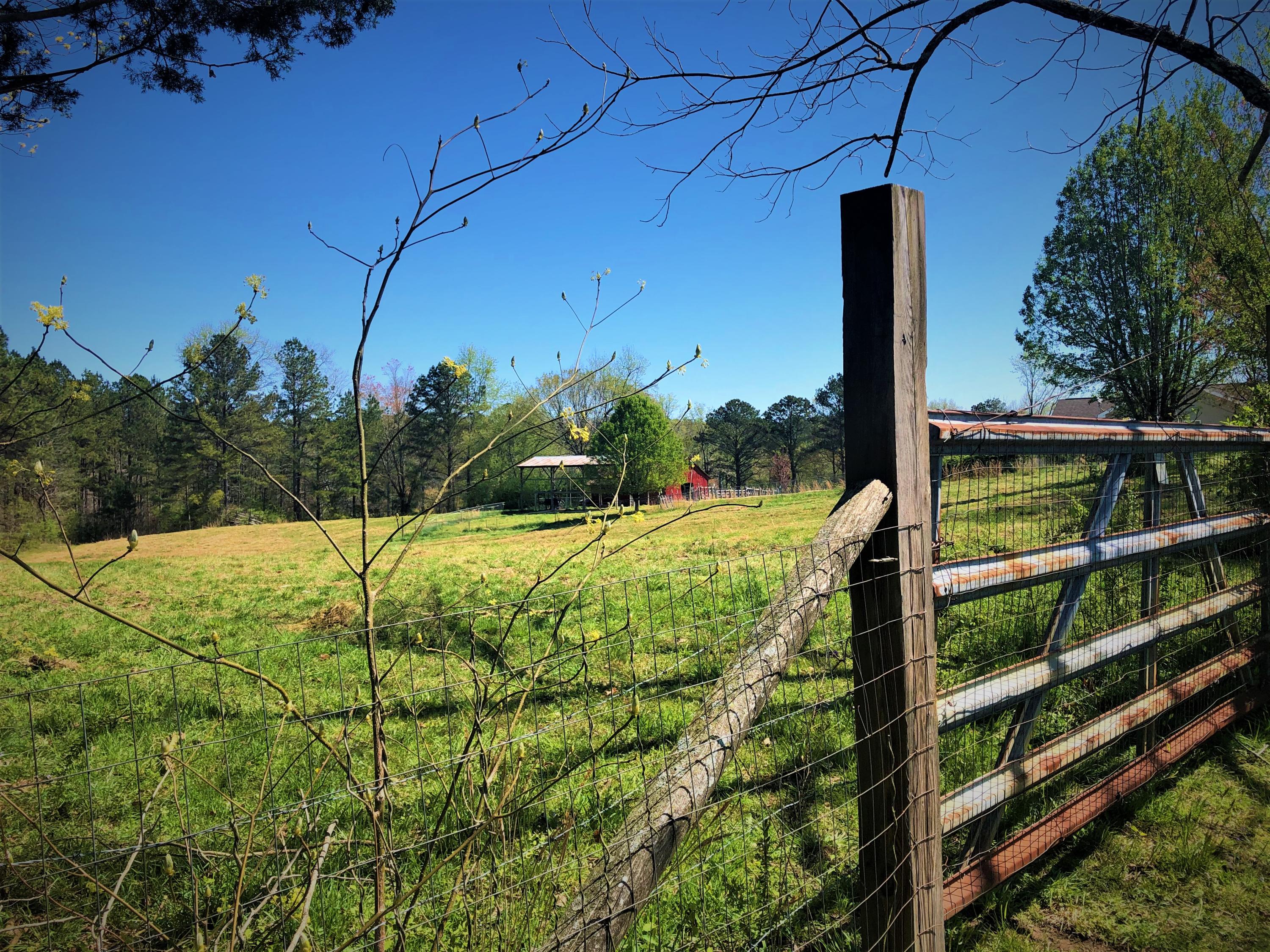 558 Hurtt Road Chickamauga, GA 30707 - Photo 5 of 17 h101