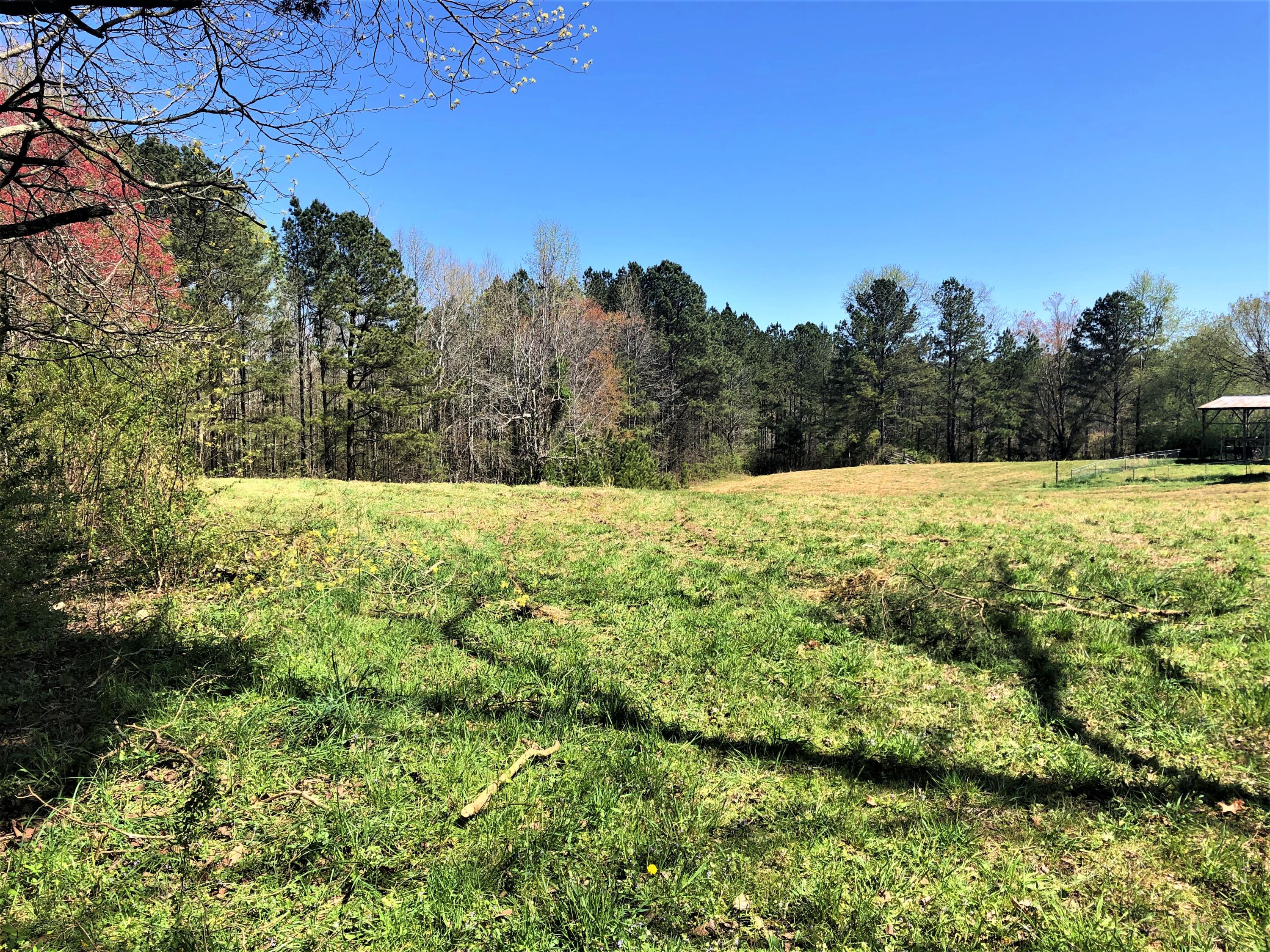 558 Hurtt Road Chickamauga, GA 30707 - Photo 6 of 17 h102