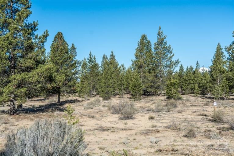 153 Sunstone Loop Bend, OR 97707 - Photo 7 of 21 Gallery Image 7