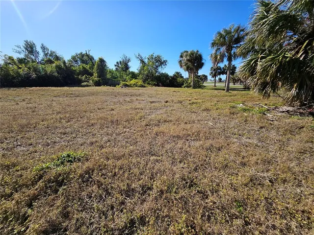a view of dirt field with trees