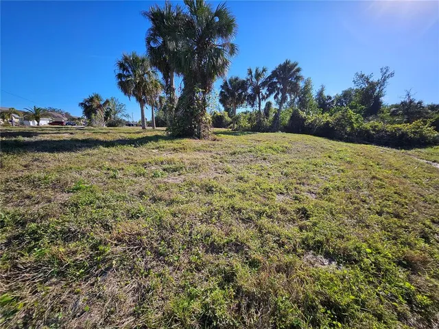 a view of a field with trees