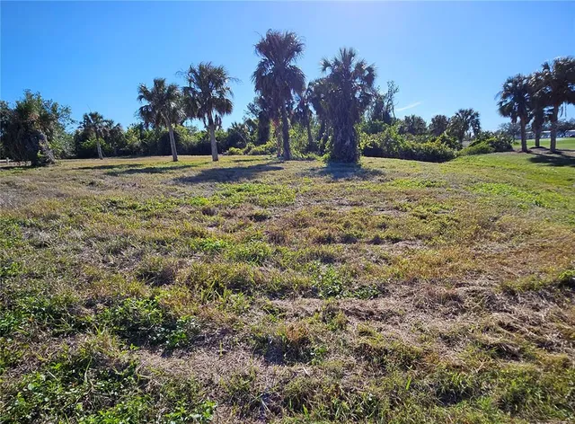a view of a yard with a tree