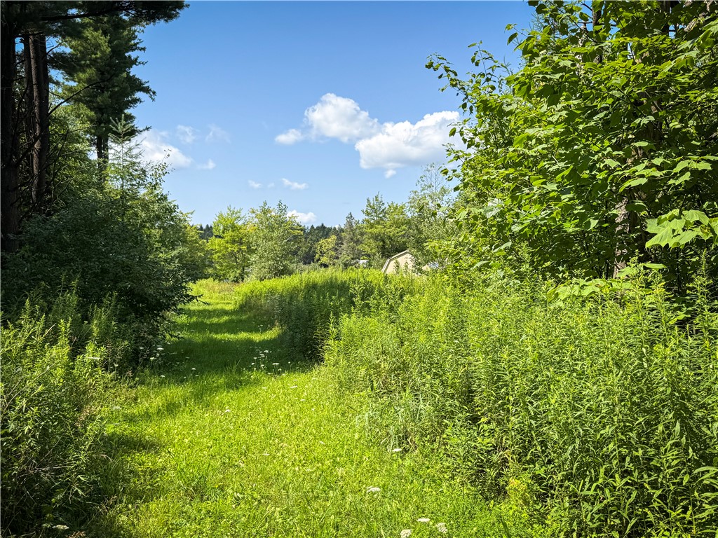 2512 Dunn Road Italy, NY 14418 - Photo 23 of 49 Gallery Image 23