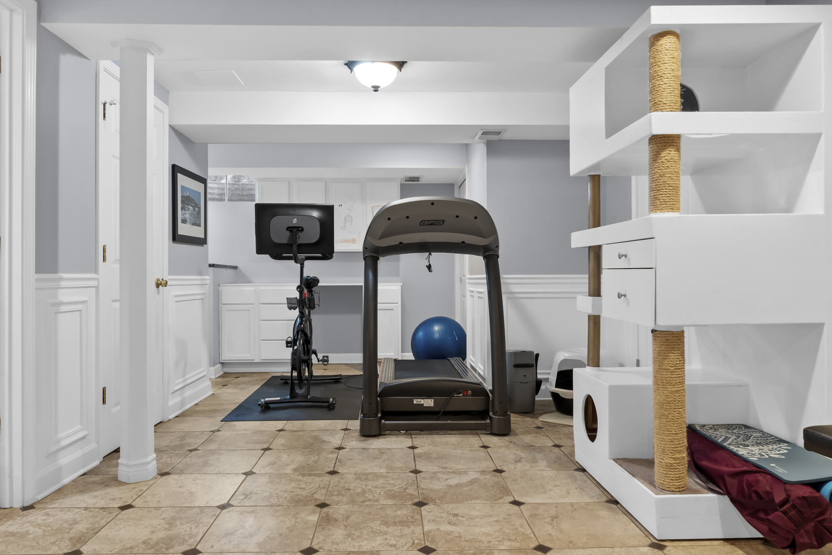 1713 East Thomas Road Wheaton, IL 60187 - Photo 41 of 55 a living room with furniture and a fireplace