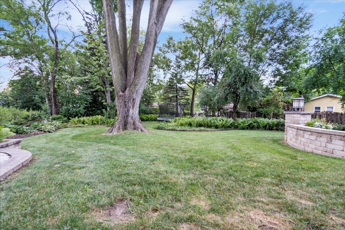 1713 East Thomas Road Wheaton, IL 60187 - Photo 54 of 55 a view of a backyard with large trees