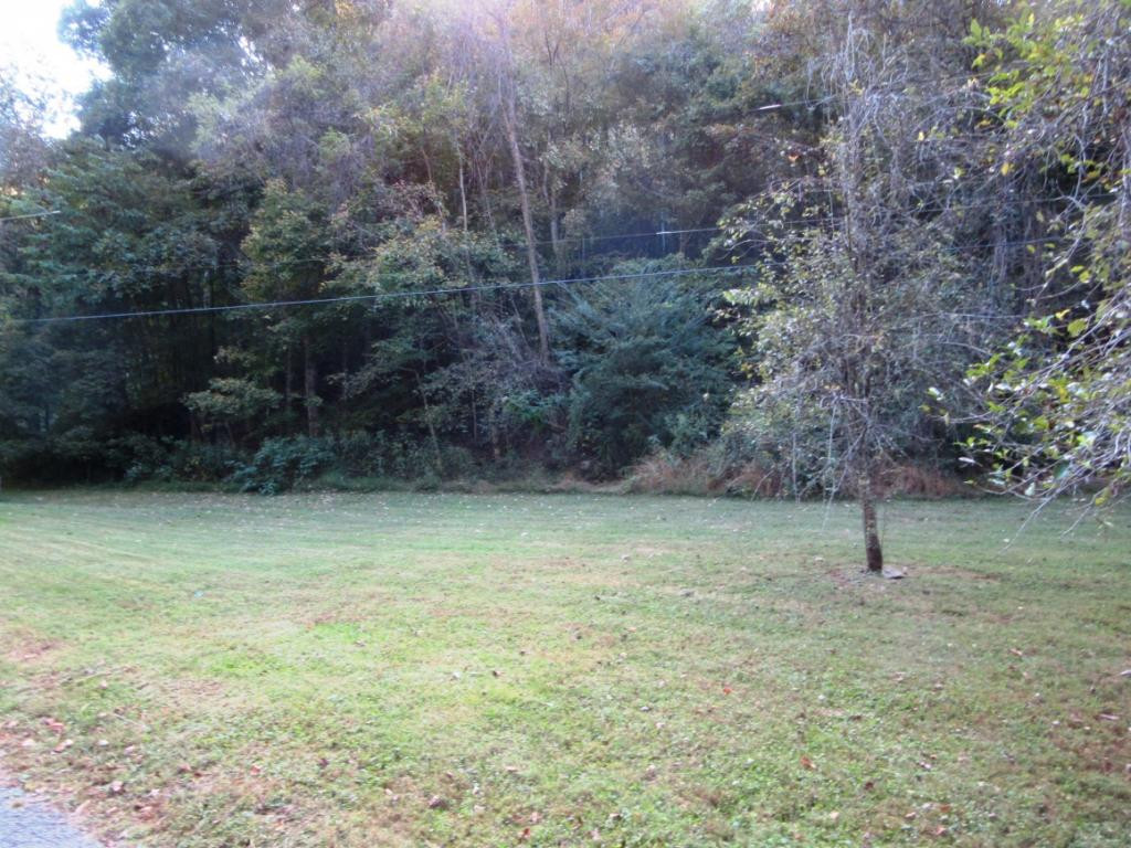 175 Shook Branch Road Hampton, TN 37658 - Photo 5 of 18 Photo 5
