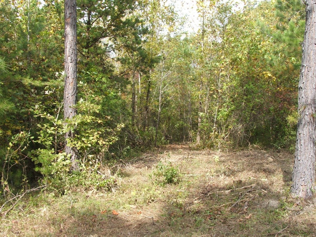 40 Lunenburg County Road, Unit 5728 Keysville, VA 23947 - Photo 10 of 11 Gallery Image 10