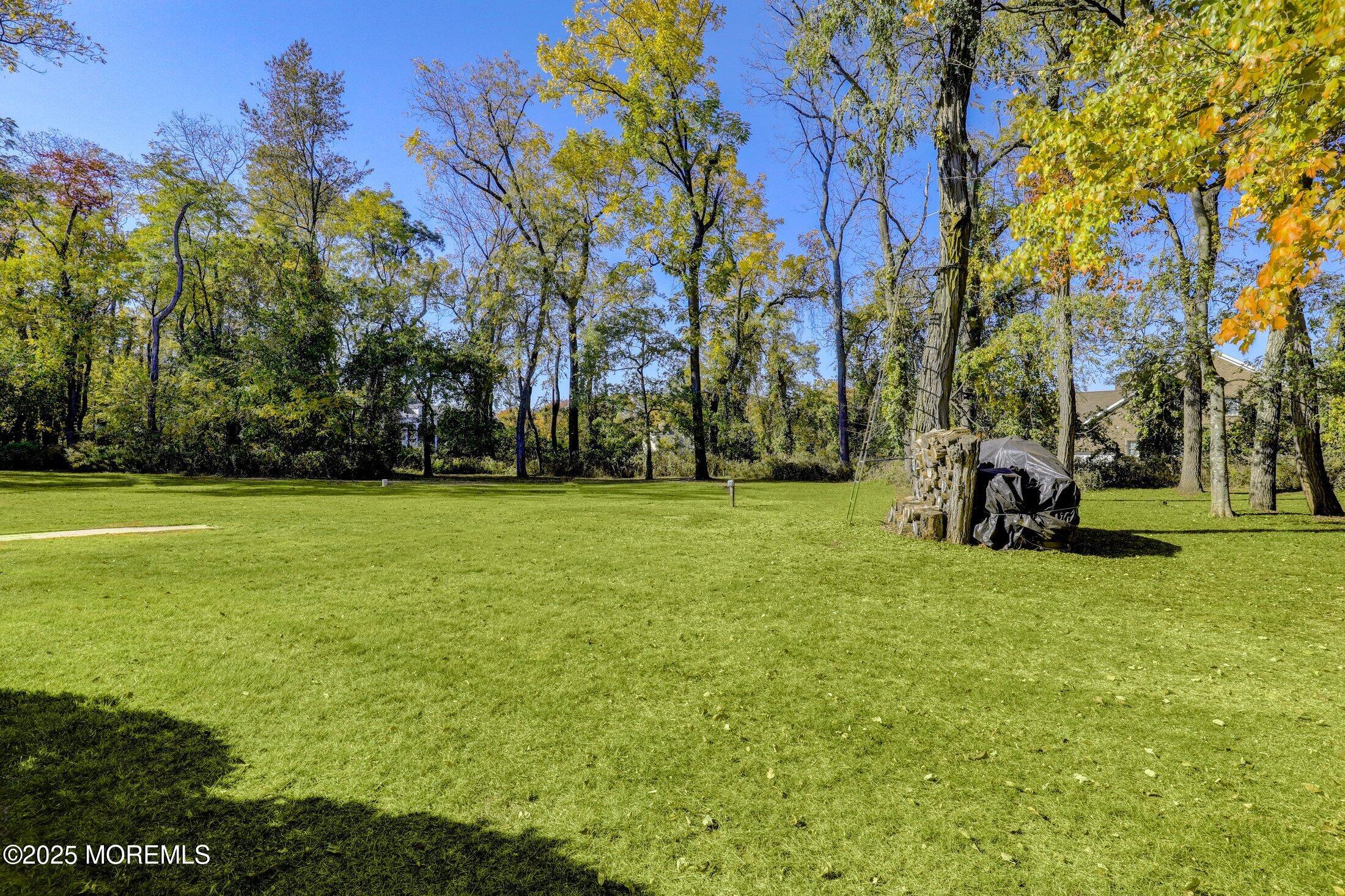 10 Holly Hill Road Marlboro, NJ 07746 - Photo 12 of 19 a view of a field with trees