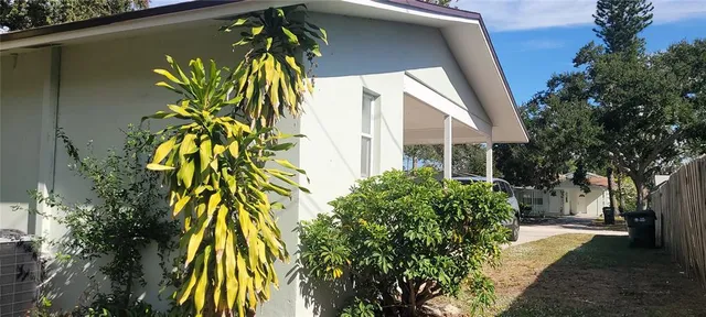 a view of a palm plant that is in front of a house