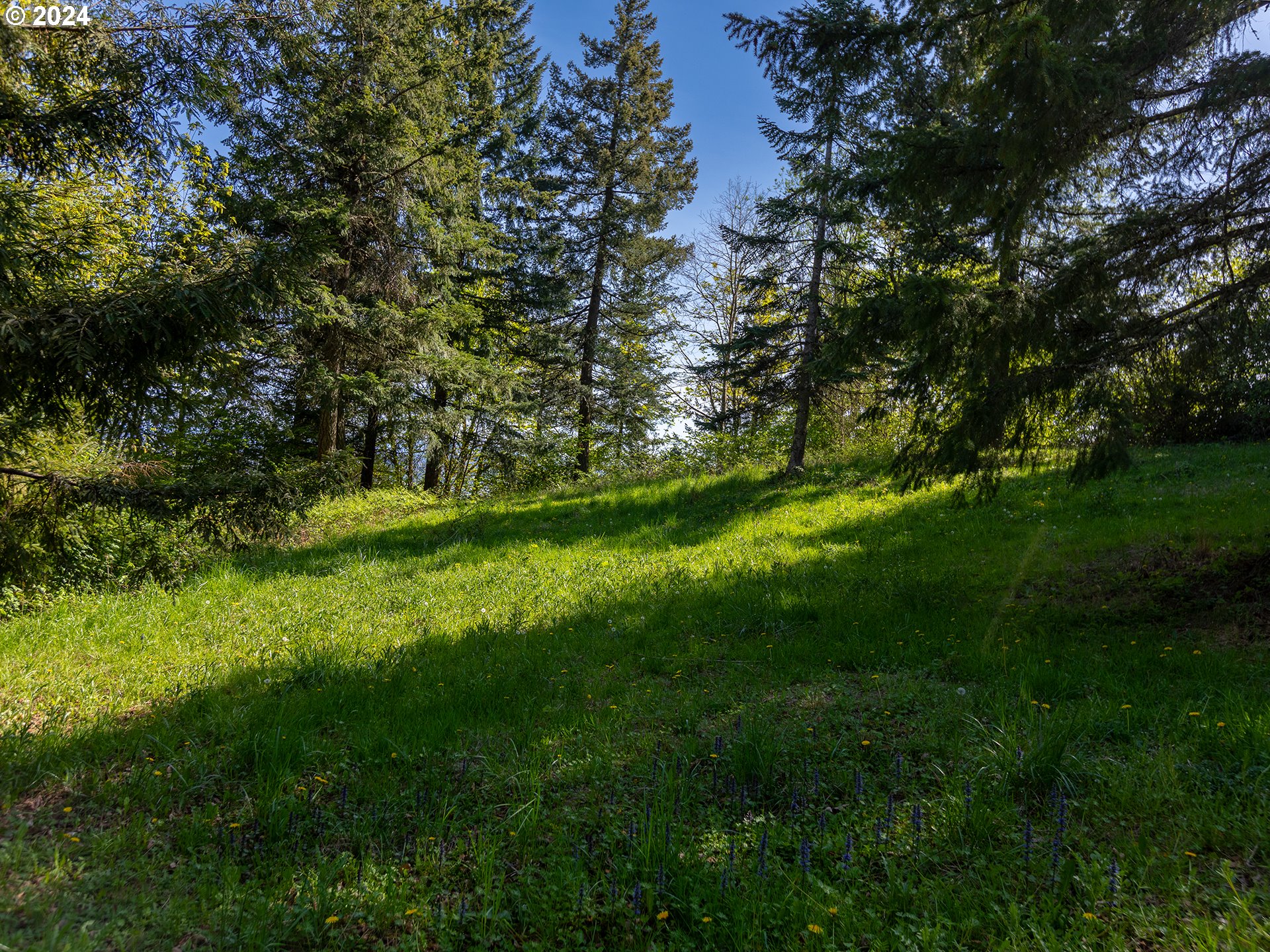 1426 Northwest Ostenson Canyon Road Camas, WA 98607 - Photo 10 of 16 Gallery Image 10
