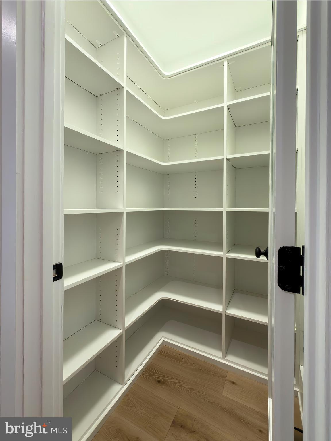 665 Valley View Lane Wayne, PA 19087 - Photo 14 of 34 a view of walk in closet with empty racks