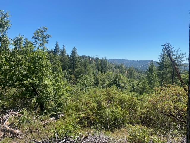 1636 Nickerson Lane Murphys, CA 95247 - Photo 7 of 24