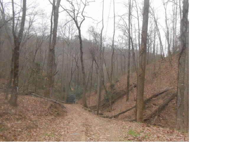 1175 Reagan Springs Road Townsend, TN 37882 - Photo 1 of 1 1175 Reagan Springs Rd