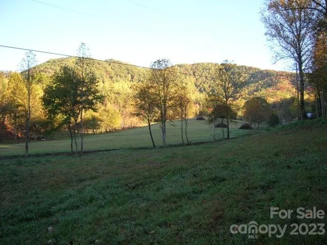 a view of a field with a tree in the background