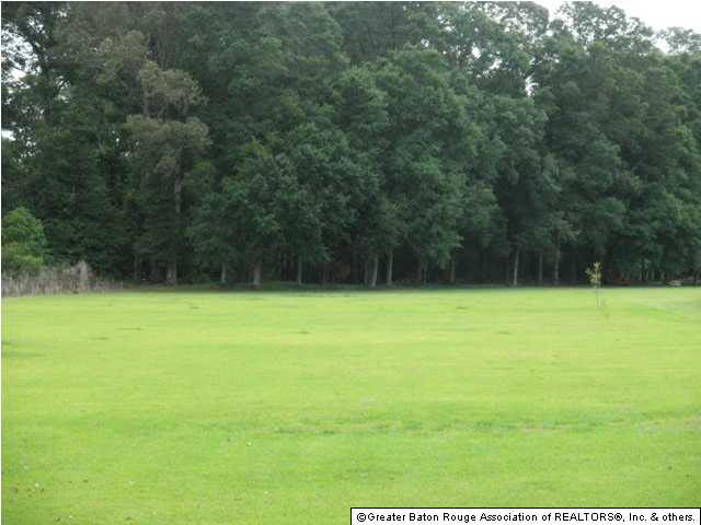 0 West J Wicker Road Zachary, LA 70791 - Photo 1 of 3 Gallery Image 1