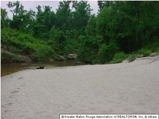 0 West J Wicker Road Zachary, LA 70791 - Photo 2 of 3 Gallery Image 2