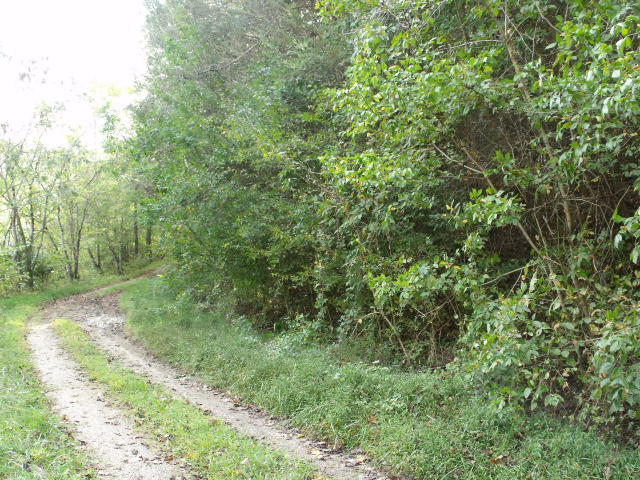 487 Harris Branch Road Madisonville, TN 37354 - Photo 1 of 7 DSCF3817