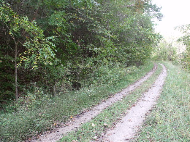 487 Harris Branch Road Madisonville, TN 37354 - Photo 2 of 7 DSCF3818