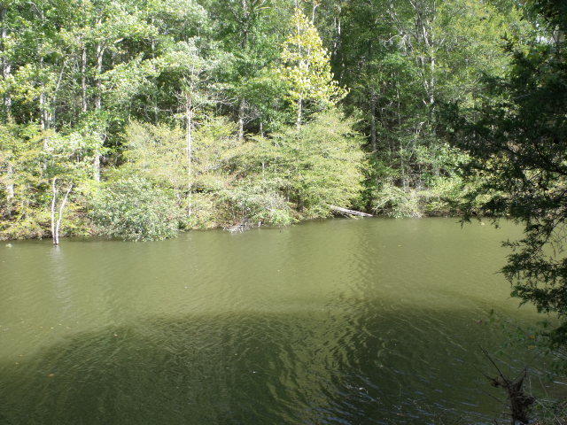487 Harris Branch Road Madisonville, TN 37354 - Photo 3 of 7 DSCF3820