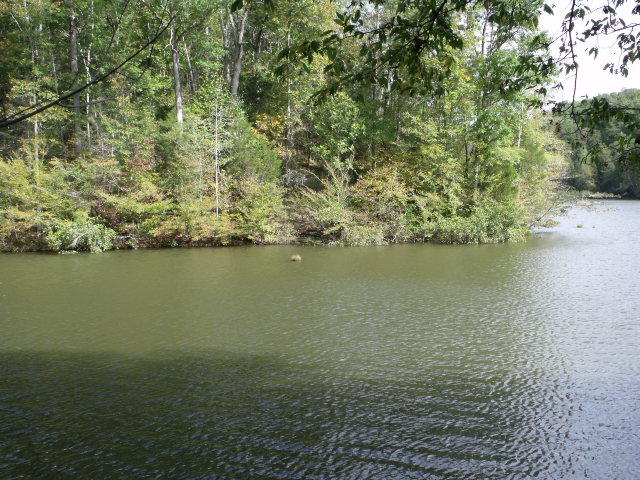 487 Harris Branch Road Madisonville, TN 37354 - Photo 5 of 7 DSCF3823