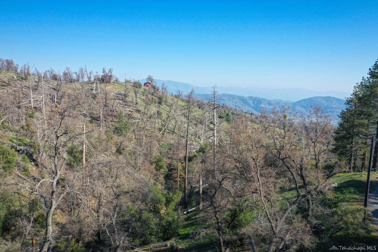 29851 Goldspike Road Tehachapi, CA 93561 - Photo 10 of 26 Gallery Image 10