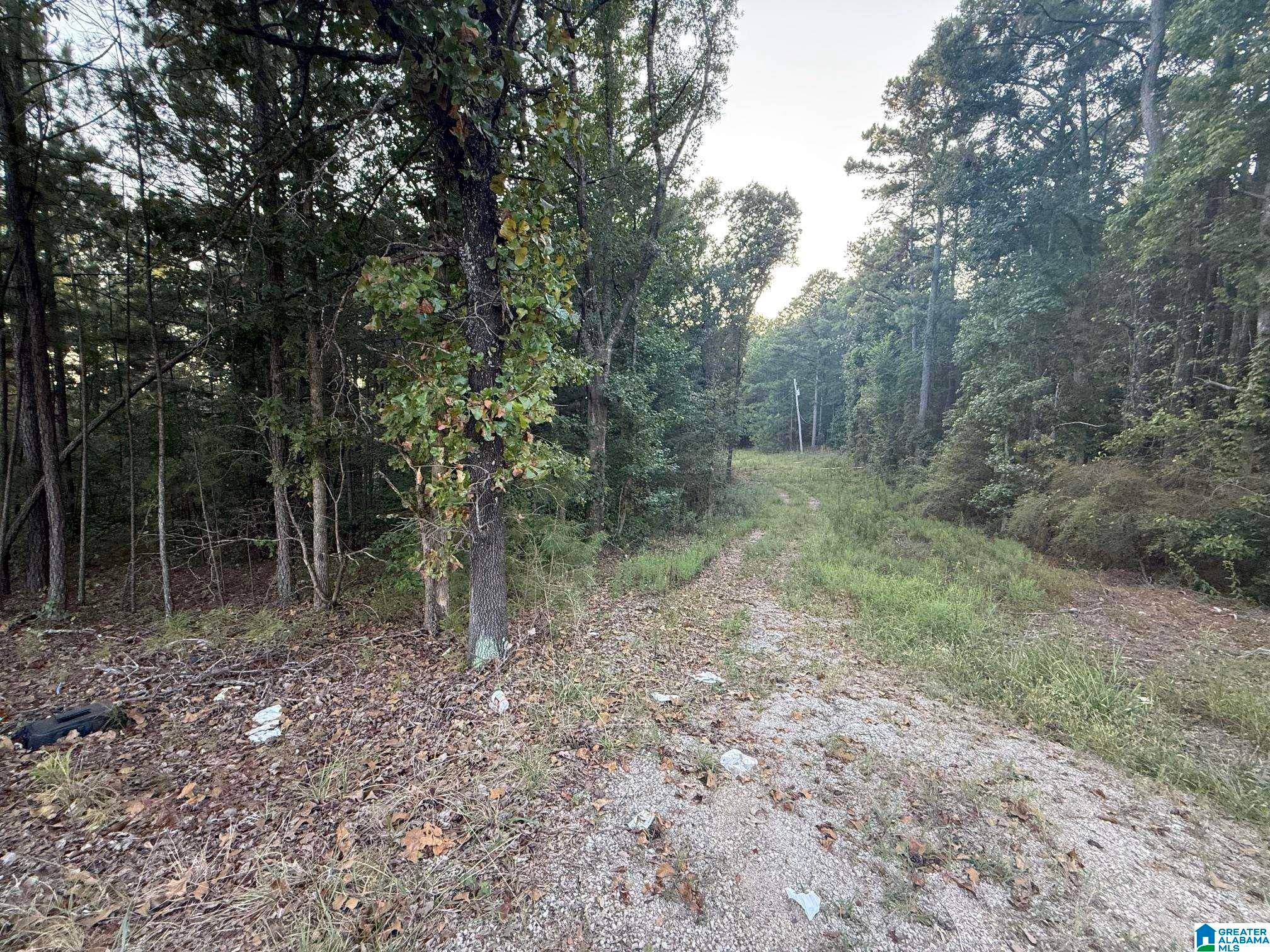 7195 Lou George Loop Bessemer, AL 35022 - Photo 3 of 4 Gallery Image 3