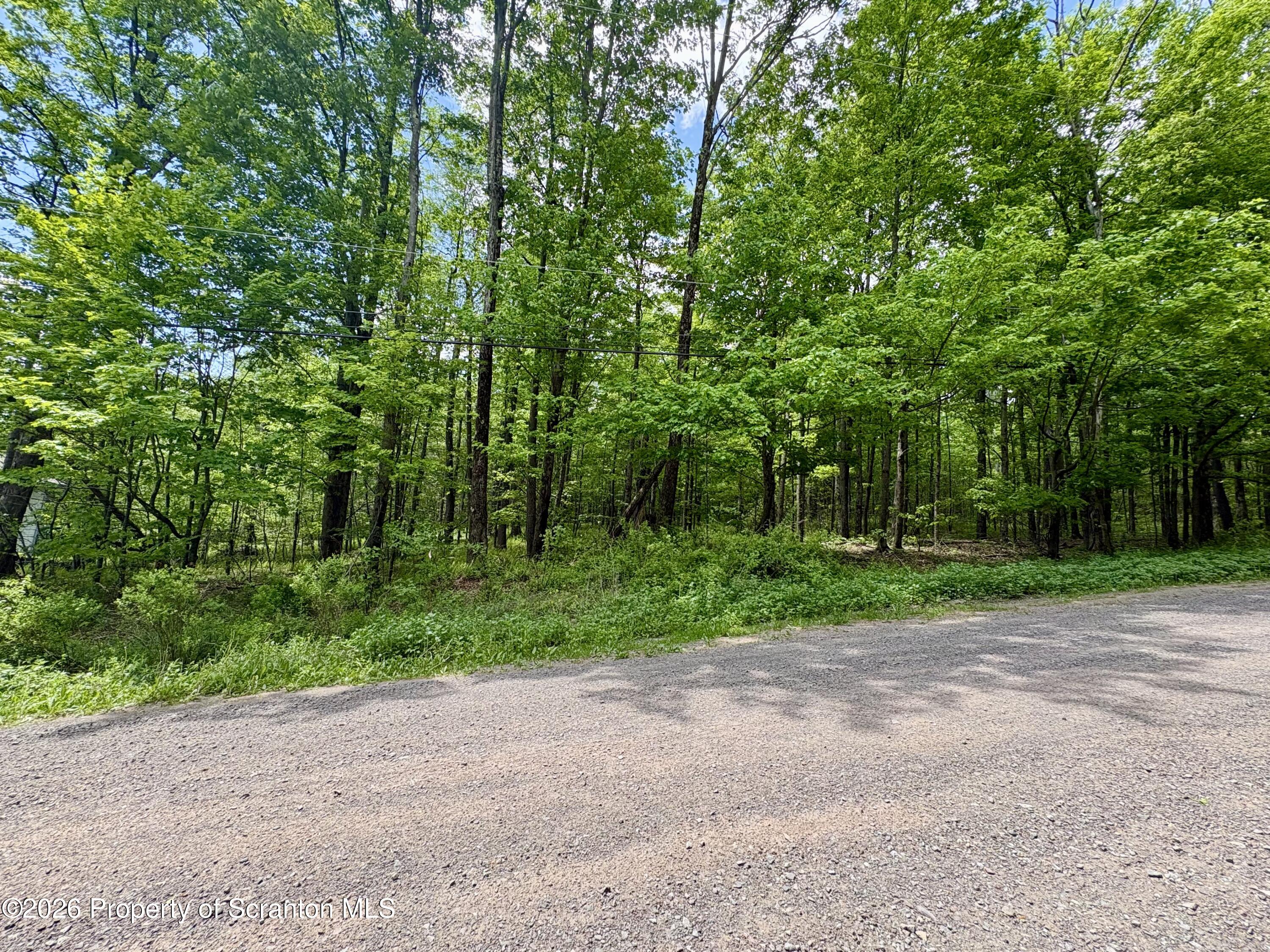 Marys Ln Spring Brook Moscow, PA 18444 - Photo 2 of 3 a view of a yard with plants and trees