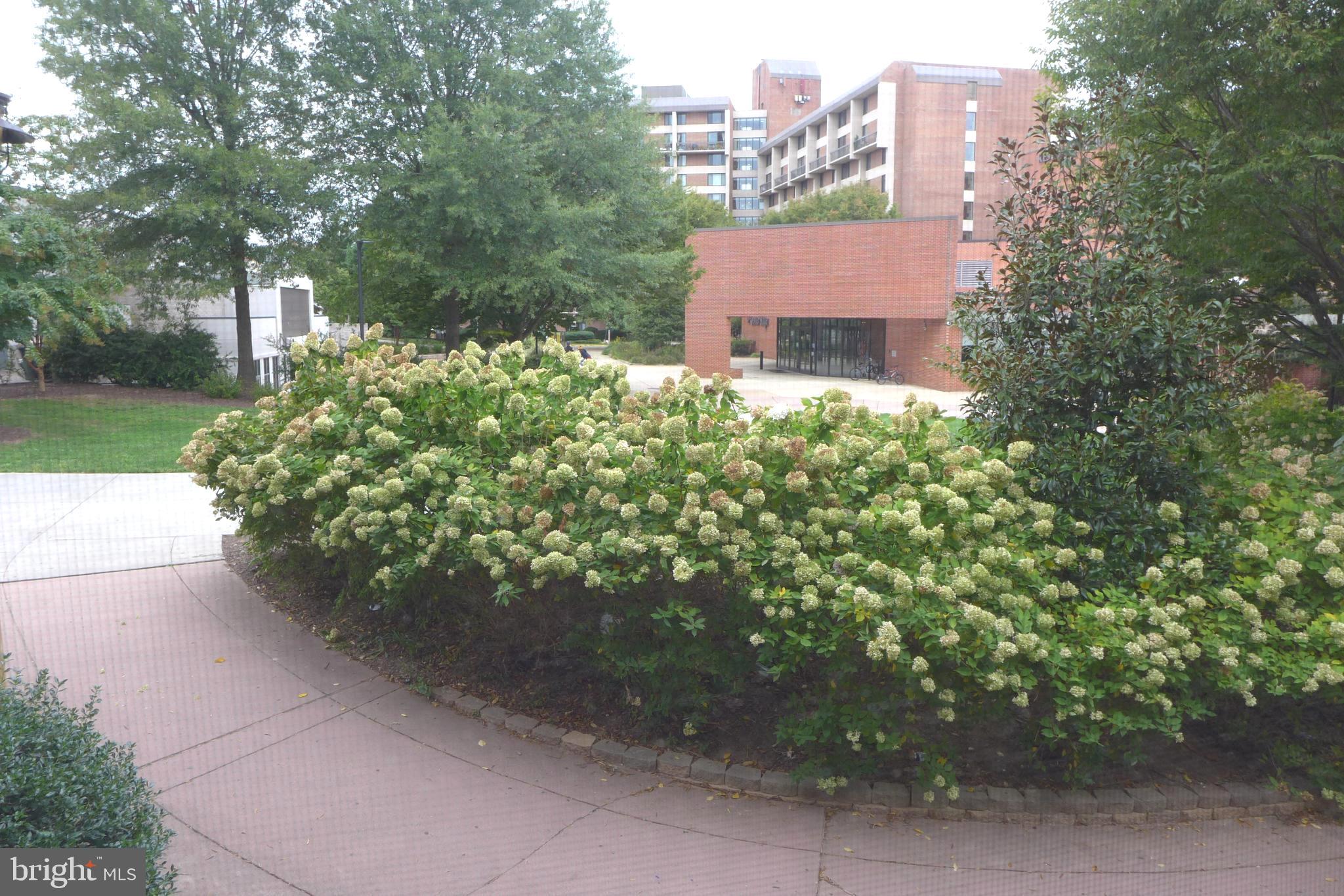 11872 Breton Court, Unit 12A Reston, VA 20191 - Photo 26 of 30 View from 3rd bedroom