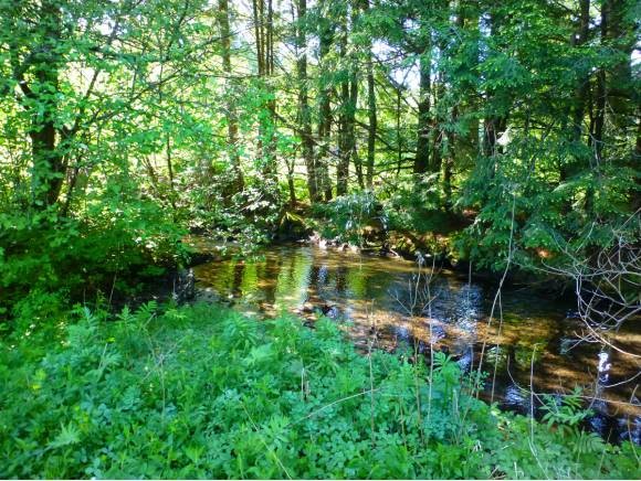 3523 Westminster W Road Westminster, VT 05346 - Photo 9 of 24