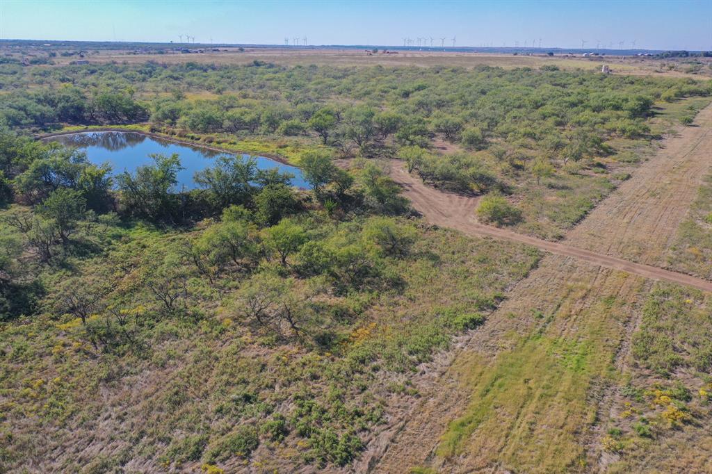 199 Rd Jacksboro Tx 76458 Road Jacksboro, TX 76458 - Photo 11 of 20