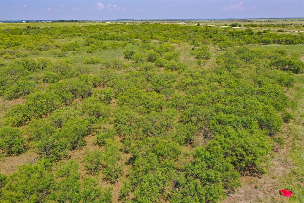 199 Rd Jacksboro Tx 76458 Road Jacksboro, TX 76458 - Photo 12 of 20